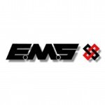 EMS fire logo